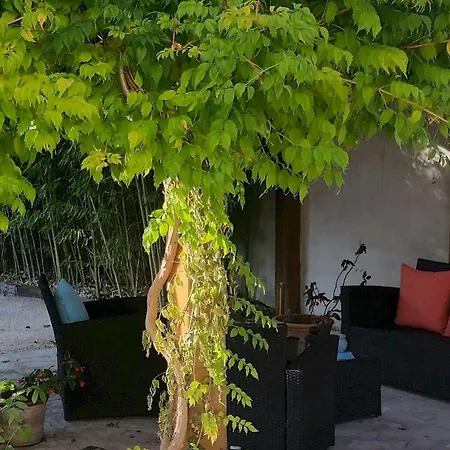 Hotel Le Synaya 3*
