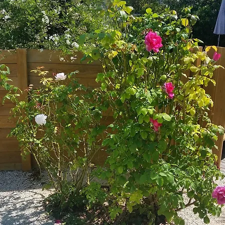 Le Synaya 3* Sanary-sur-Mer