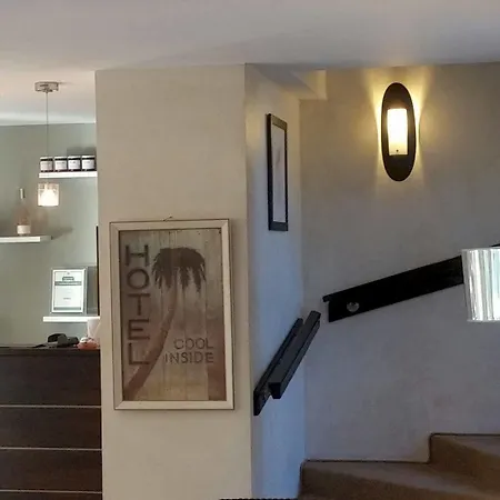 Le Synaya